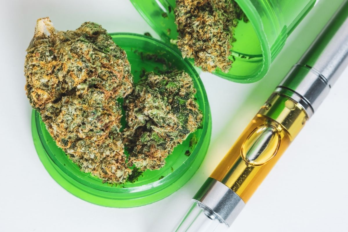 Everything You'll Need To Know About THC Percentage (1)