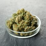 Terminology: What Is An Ounce Of Cannabis? What Other Slang Is Used For An Ounce?