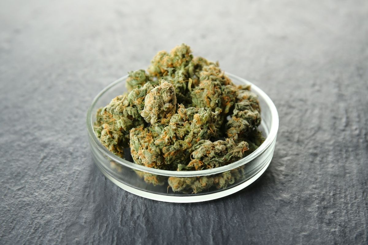 Terminology: What Is An Ounce Of Cannabis? What Other Slang Is Used For ...