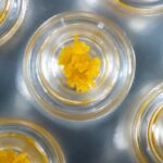 What Are Dabs And Why Should I Smoke Them?